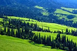 开云体育官方网-新疆广汇训练开放日，赛后官宣签约引欢呼，德甲在即，高层口径保持一致(中方披露中美双方军控磋商细节)