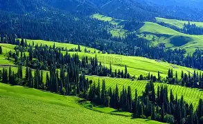 新疆广汇训练开放日，赛后官宣签约引欢呼，德甲在即，高层口径保持一致(中方披露中美双方军控磋商细节)